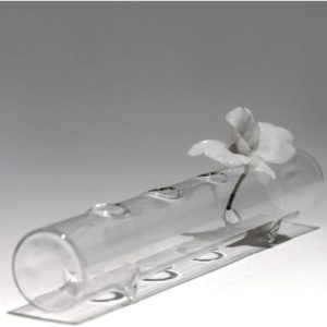 glass tube vase